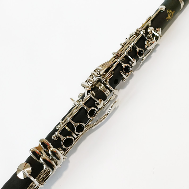 Brand Buffet Crampon Prodige B – Musical Instrument Brands recenzja i cena