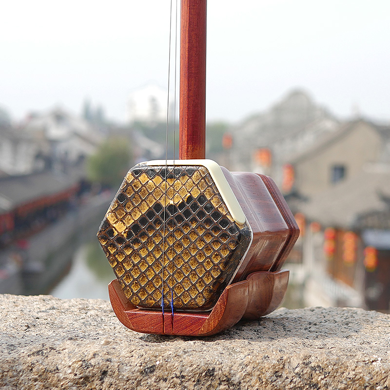Professional Dunhuang Brand 06 – Musical Instrument Brands recenzja i cena