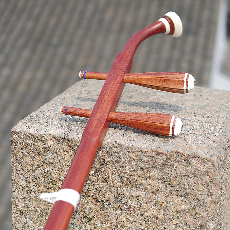 Professional Dunhuang Brand 06 – Musical Instrument Brands recenzja i cena