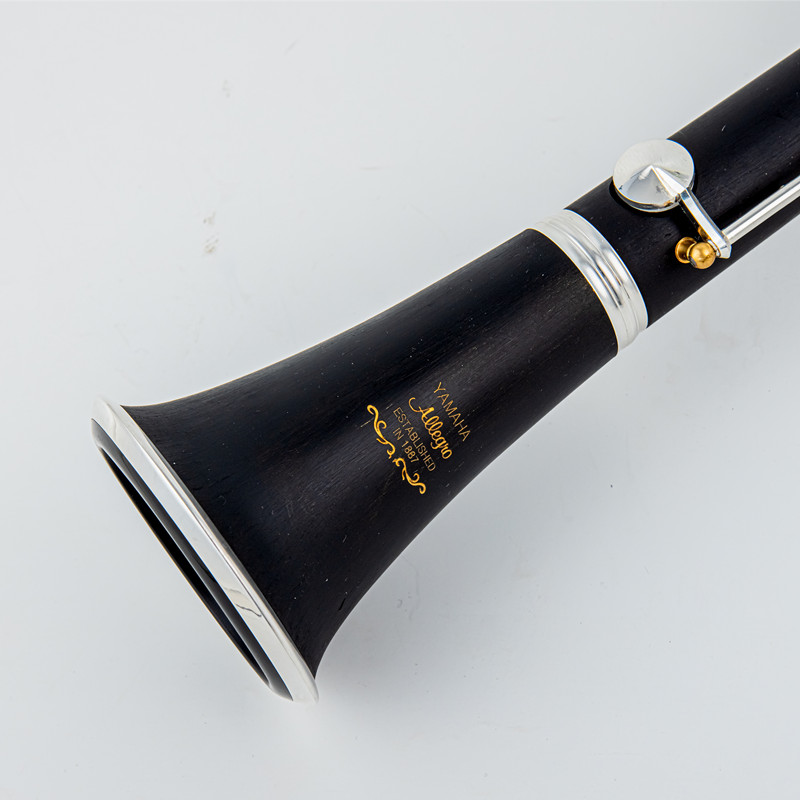 Japan Brand New Professional W – Musical Instrument Brands recenzja i cena