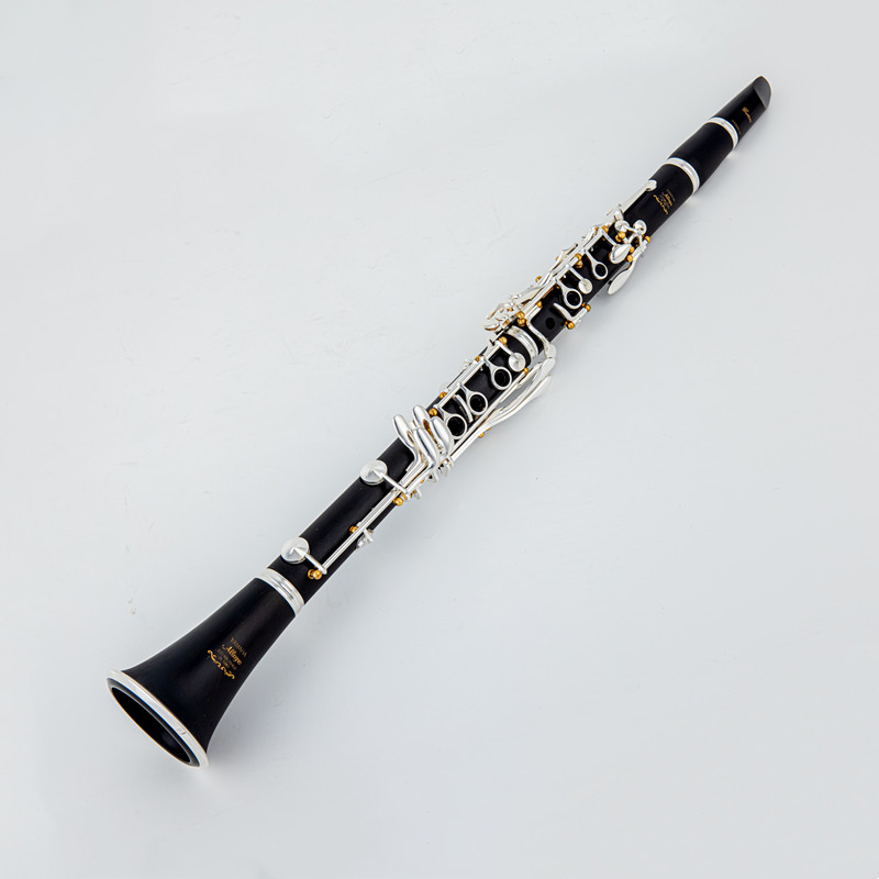 Japan Brand New Professional W – Musical Instrument Brands recenzja i cena