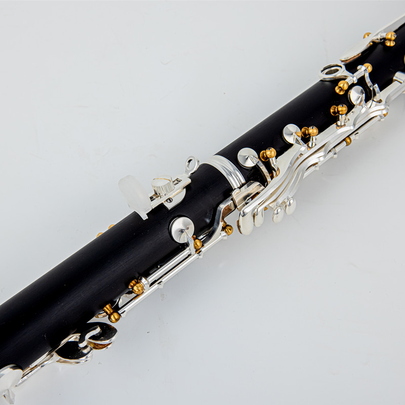 Japan Brand New Professional W – Musical Instrument Brands recenzja i cena